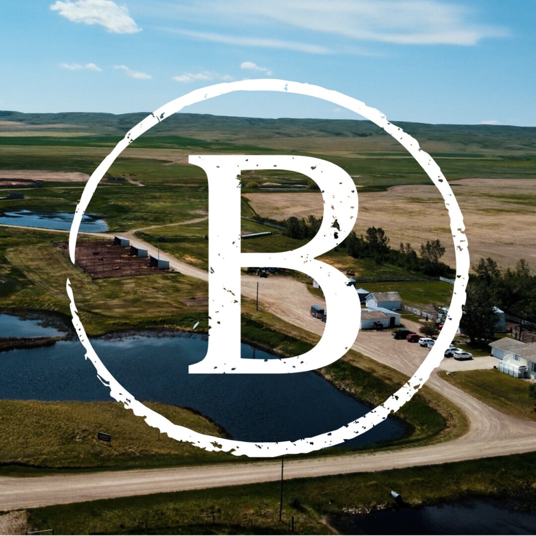 Ben's Quality Meats Logos